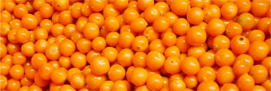 Proceso de Producción 1